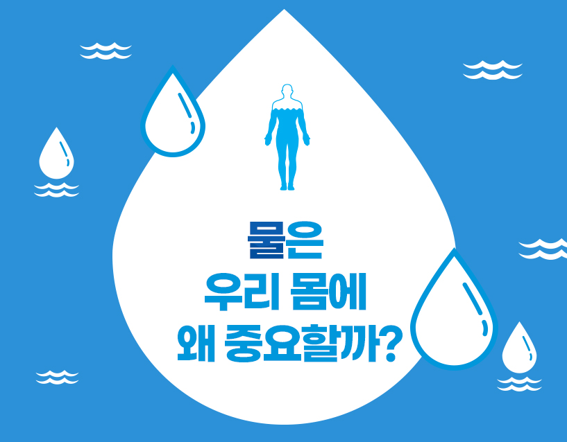 물은 우리 몸에 왜 중요할까?
