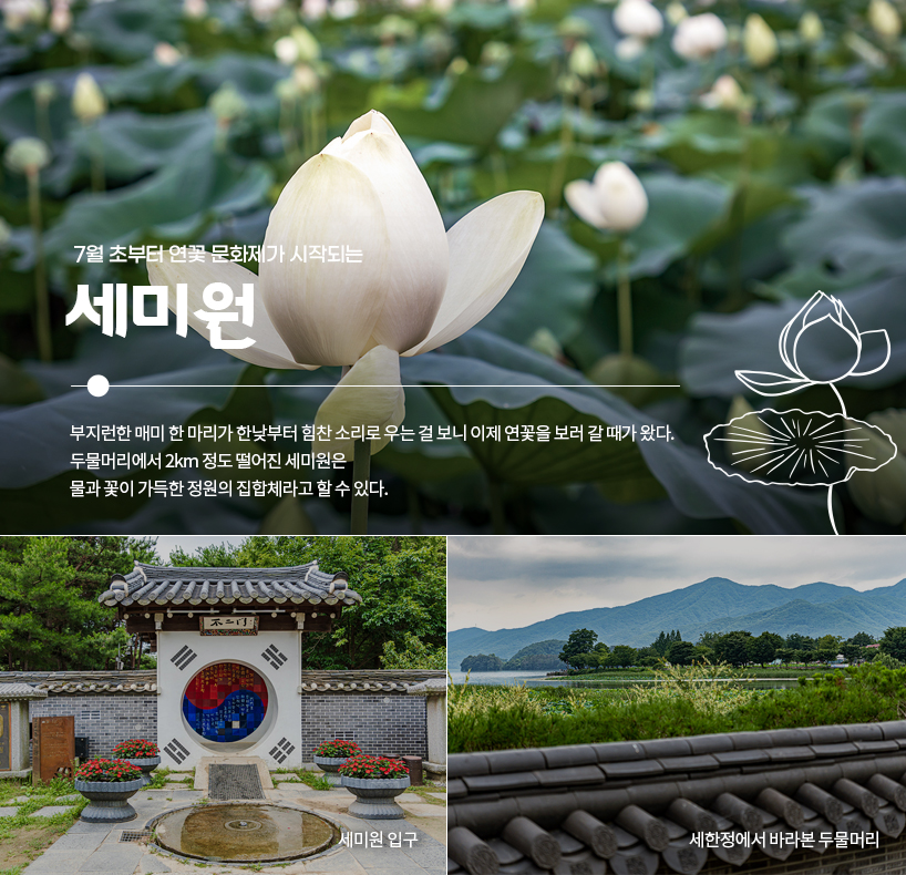 사진설명 (사진 왼쪽부터) 세미원 입구 / 세한정에서 바라본 두물머리