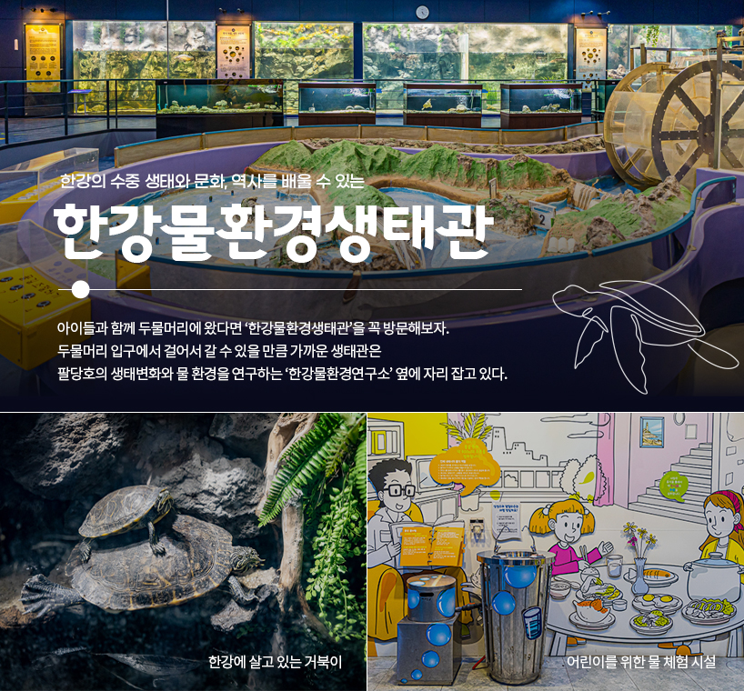 사진설명 한강물환경생태관 (사진 왼쪽부터) 한강에 살고 있는 거북이 / 어린이를 위한 물 체험 시설