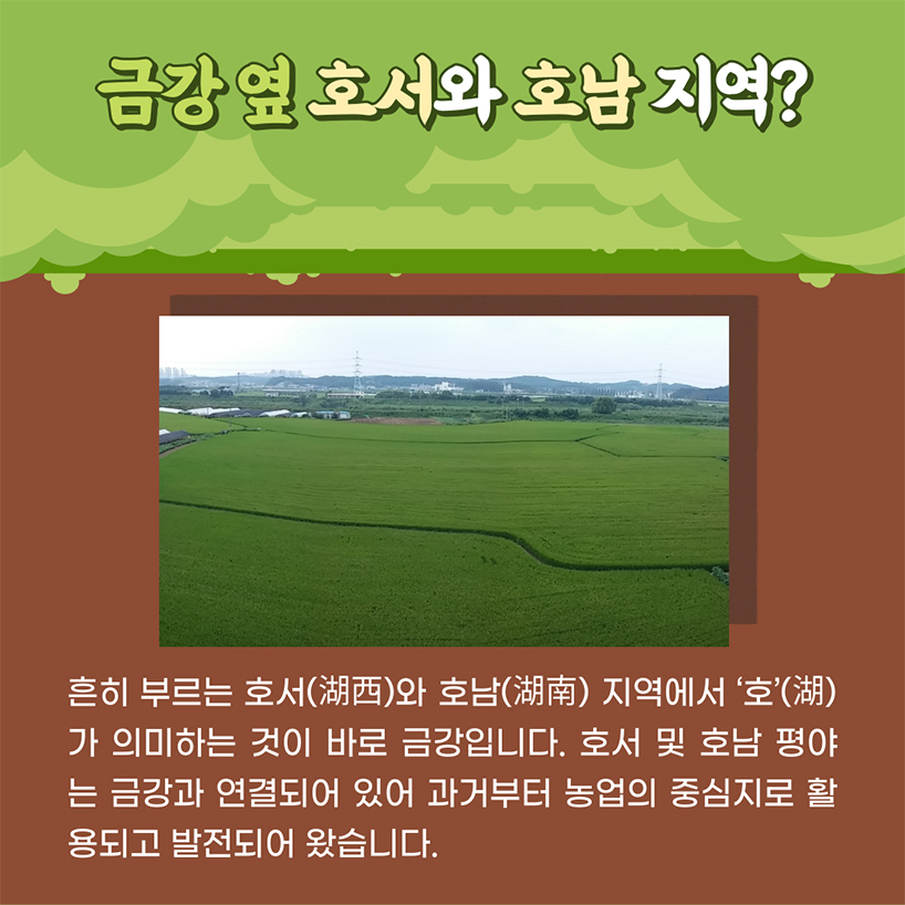금강 옆 호서와 호남지역, 흔히 부르는 호서(湖西)와 호남(湖南) 지역에서 ‘호’(湖)가 의미하는 것이 바로 금강입니다. 호서와 호남평야는 금강과 연결되어 있어 과거부터 농업의 중심지로 활용되고 발전되어 왔습니다.