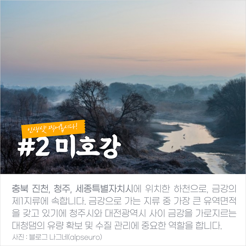 두 번째는 미호강입니다. 미호강은 원래 미호천으로 표기되었는데, 하천의 역사성·지리적 대표성을 고려, 지역사회의 의견을 반영하여 명칭이 변경되었다고 합니다. 충북 진천, 청주, 세종특별자치시에 있는 하천으로, 금강의 제1지류에 속합니다. 금강으로 가는 지류 중 가장 큰 유역면적을 갖고 있기에 청주시와 대전광역시 사이 금강을 가로지르는 대청댐의 유량 확보 및 수질 관리에 중요한 역할을 합니다.