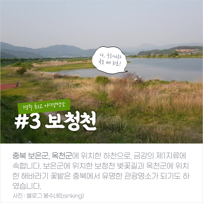 마지막 보청천은 충북 보은군, 옥천군에 있는 하천으로, 금강의 제1지류에 속합니다. 보은군에 있는 보청천 벚꽃길과 옥천군에 위치한 해바라기 꽃밭은 충북에서 유명한 관광명소가 되기도 하였습니다.