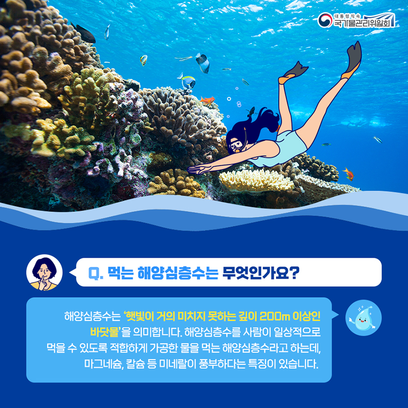 궁금한  水토리 5