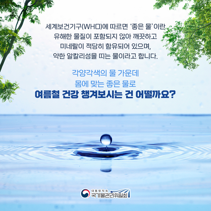 궁금한  水토리 8